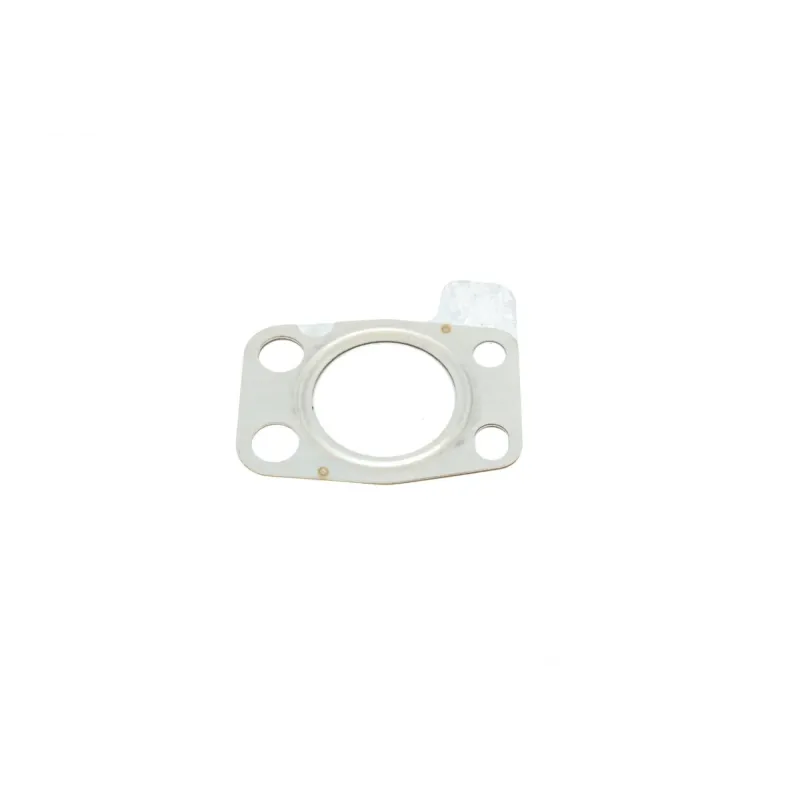 Комплект прокладок турбіни REINZ 04-10340-01 для Citroen Berlingo, Peugeot Partner 1.6 HDi