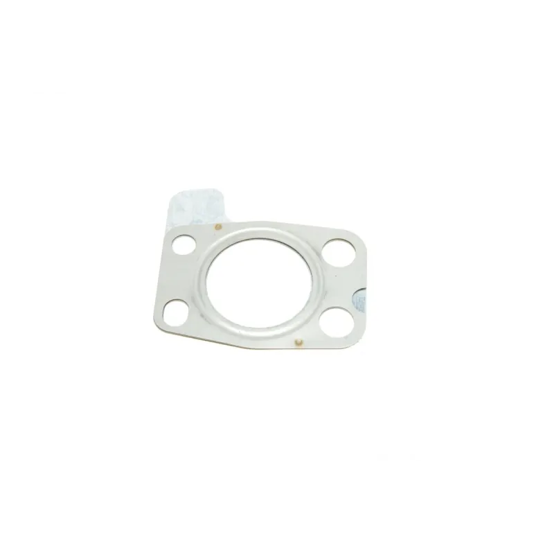 Комплект прокладок турбіни REINZ 04-10340-01 для Citroen Berlingo, Peugeot Partner 1.6 HDi