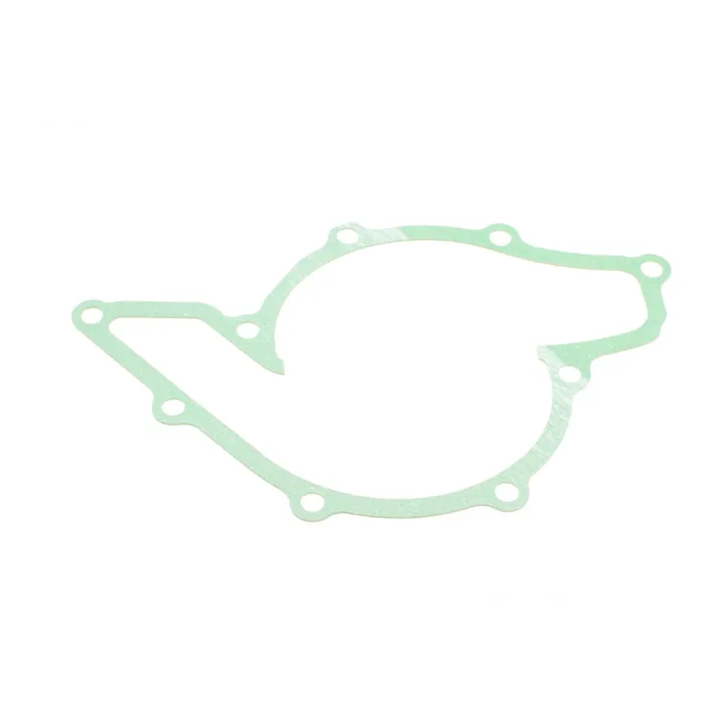 Комплект нижніх прокладок REINZ 08-31717-01 для Audi A4/A6/A8, VW Passat 2.5 TDI 1997-2008