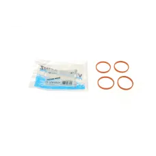 Прокладка колектора впускного BMW 1 (F20/F21)/3 (F30/F31/F80) 11- (к-кт) N13 B16