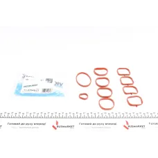 Прокладка колектора впускного Fiat Doblo/Opel Combo 1.4i 10- (к-кт)