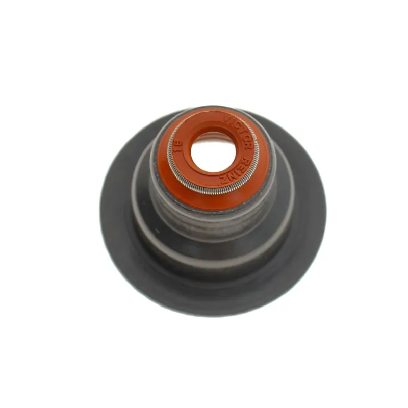 Сальник клапана (впуск/випуск) Renault Kangoo/Clio 1.1/1.2 96- (к-кт), D7F/D7D