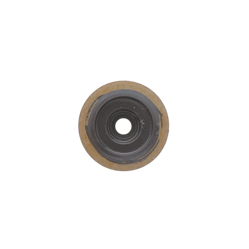 Сальник клапана REINZ 12-35493-01 для Land Rover Freelander, Honda Accord, Rover 200/25/45