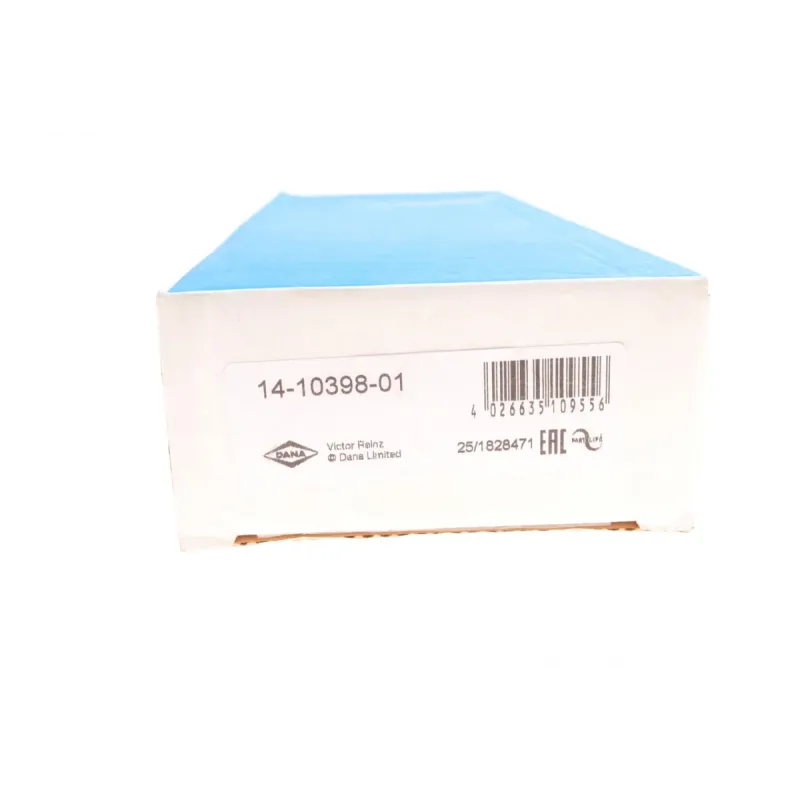 Болти головки блоку циліндра REINZ 14-10398-01 для BMW 3 (E90/F30) N47 D20, 200 мм