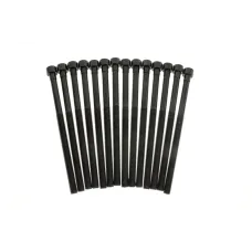 Комплект болтів ГБЦ REINZ 14-12261-03 для BMW 3 (F30/F80) 15-, 5 (G30/F90) 16-, X3 (G01/F97) 17- M11