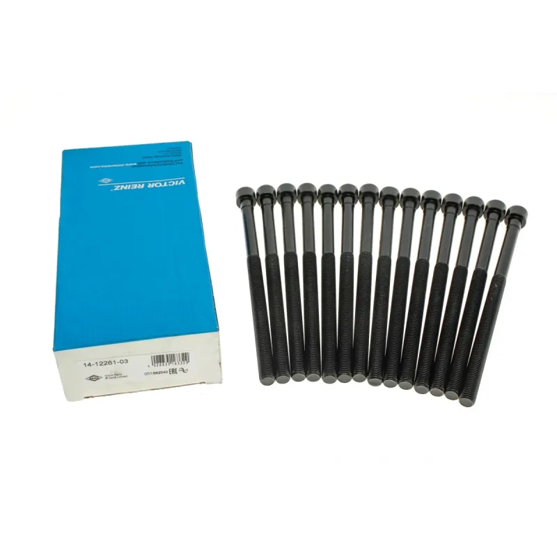 Комплект болтів ГБЦ REINZ 14-12261-03 для BMW 3 (F30/F80) 15-, 5 (G30/F90) 16-, X3 (G01/F97) 17- M11