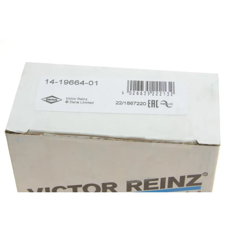 Болти головки блока циліндра REINZ 14-19664-01 (10 шт.) M10x115 мм для Audi Q5/Q7/Q8, VW Touareg 2015-