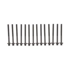 Болти головки REINZ 14-32004-01 для BMW 3 (E46) 1999-2005, M57 D30, L=141мм