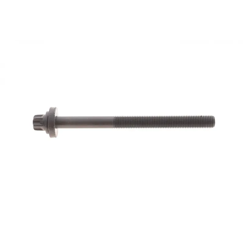 Болти головки REINZ 14-32004-01 для BMW 3 (E46) 1999-2005, M57 D30, L=141мм