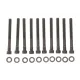 Болти головки (к-кт 10шт.) MB (W124/W201) OM102 (M12x120)