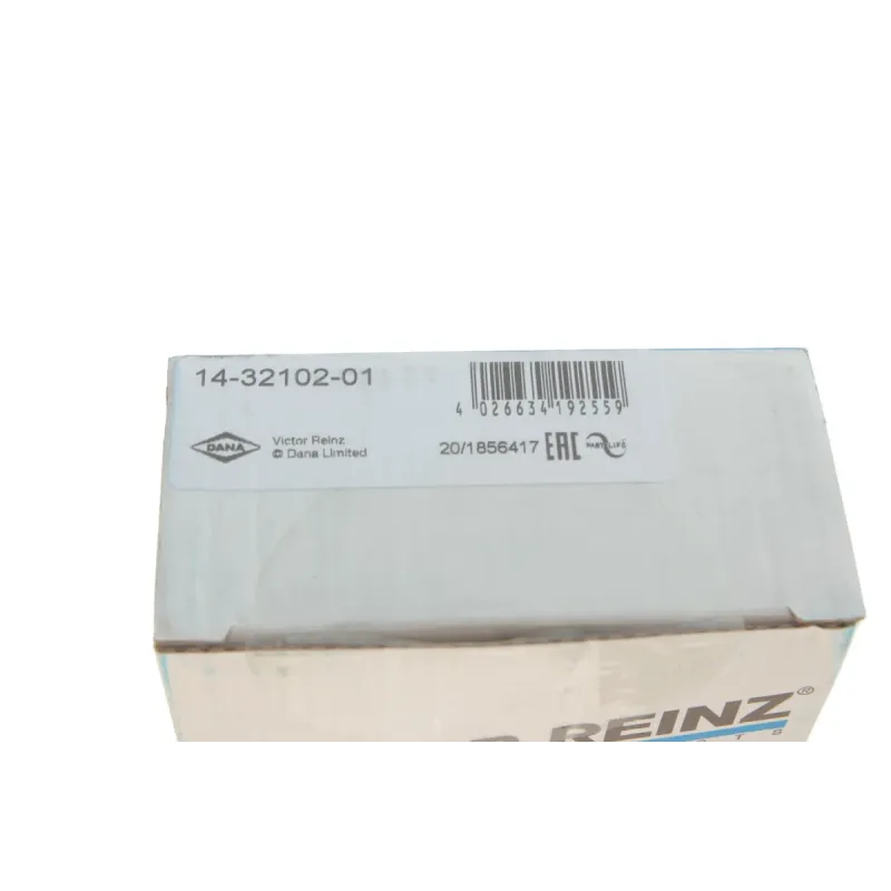 Болти головки блоку циліндра REINZ 14-32102-01 для Opel Combo 1.6 2001-2011, M10x140 мм (комплект 10 шт.)