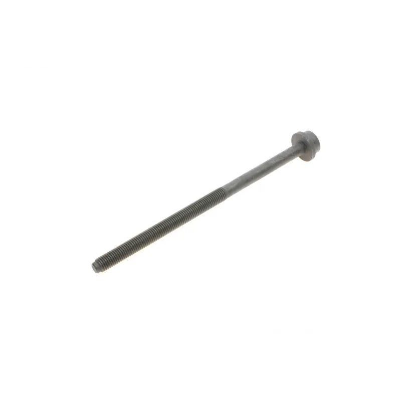 Болти головки блоку циліндра REINZ 14-32123-01 для VW Caddy II, Skoda Fabia 1995-2007, M9x161 мм (10 шт.)