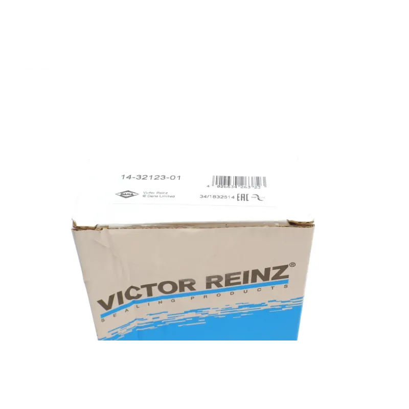 Болти головки блоку циліндра REINZ 14-32123-01 для VW Caddy II, Skoda Fabia 1995-2007, M9x161 мм (10 шт.)