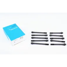 Болти головки блоку циліндра REINZ 14-55002-01 комплект 10 шт. M10 для Toyota Avensis, Carina E, Corolla