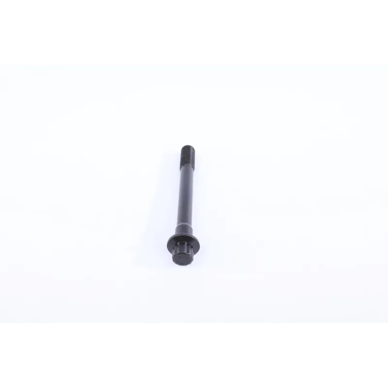 Болти головки блоку циліндра REINZ 14-55002-01 комплект 10 шт. M10 для Toyota Avensis, Carina E, Corolla