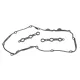Прокладка кришки клапанів REINZ 15-33077-01 для BMW 3 (E46) 2.0-3.0i, M52/M54