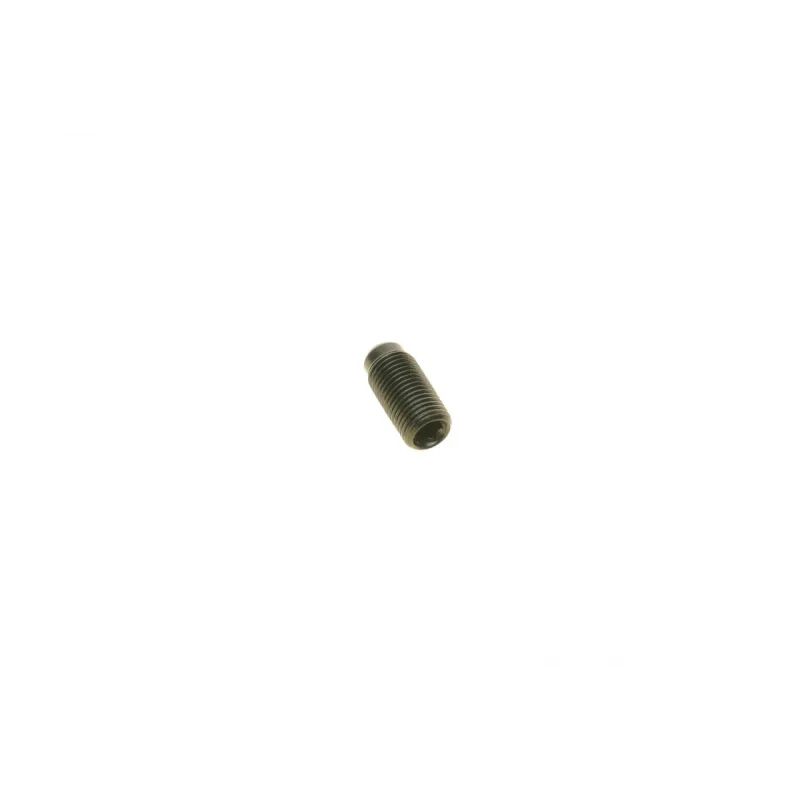 Ремкомплект форсунки REINZ 15-38642-03 для Volkswagen T5, Caddy, Audi A3, A4 (з гвинтом)