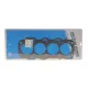 Прокладка ГБЦ Fiat Croma/Stilo 1.9 D 02- (1.02mm)