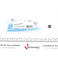 Сальник клапана (впуск/випуск) Chevrolet Aveo 1.5 i 05- (F15S3)