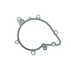 Прокладка помпи води BMW 5 (E34)/7 (E38)/8 (E31) M60 3.0/4.0i 92-01