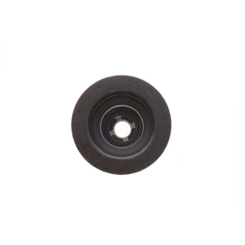 Сальник клапана випускний REINZ 70-54093-00 для Mitsubishi Outlander II CW_W 2006-2012, 2.4