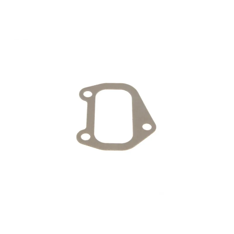 Прокладка випускного колектора REINZ 71-25919-30 для Fiat Ducato, Scudo 1.9D 1996-2006, 1.2 мм