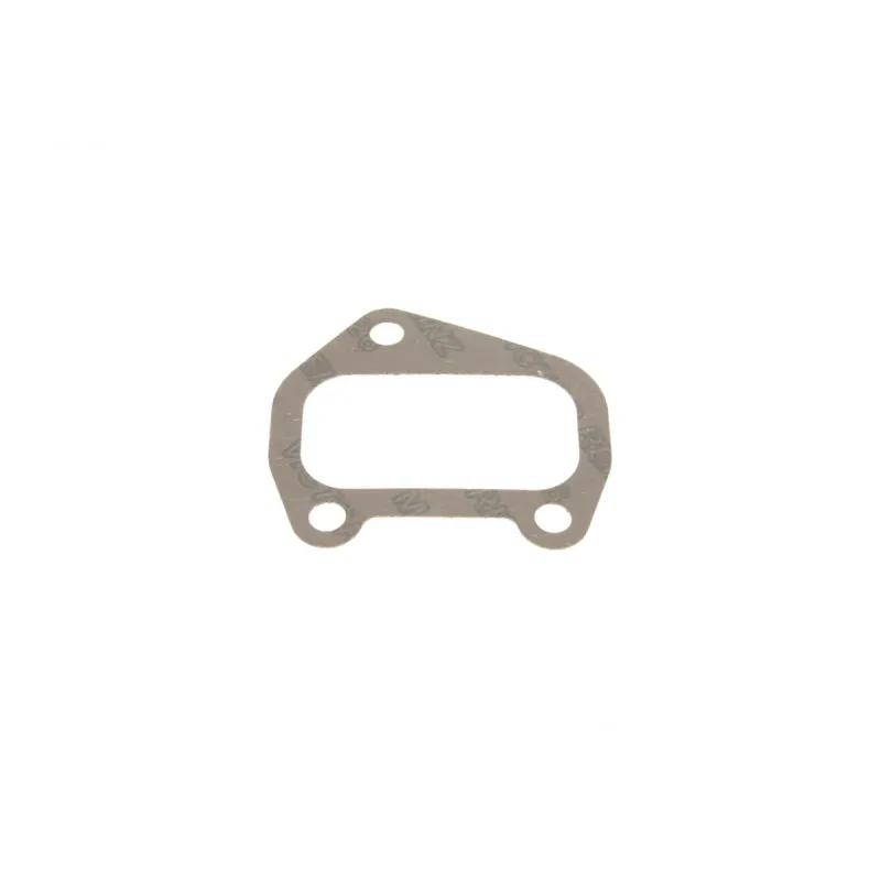 Прокладка випускного колектора REINZ 71-25919-30 для Fiat Ducato, Scudo 1.9D 1996-2006, 1.2 мм