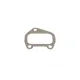 Прокладка випускного колектора REINZ 71-25919-30 для Fiat Ducato, Scudo 1.9D 1996-2006, 1.2 мм
