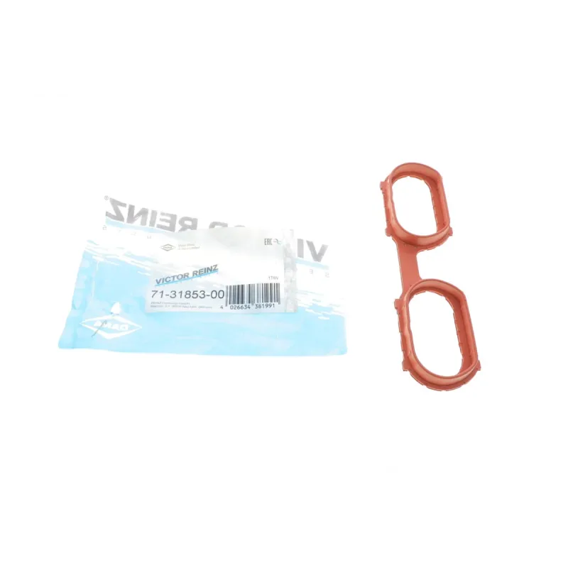Прокладка впускного колектора REINZ 71-31853-00 для BMW X5 (E53) 2000-2003, M62