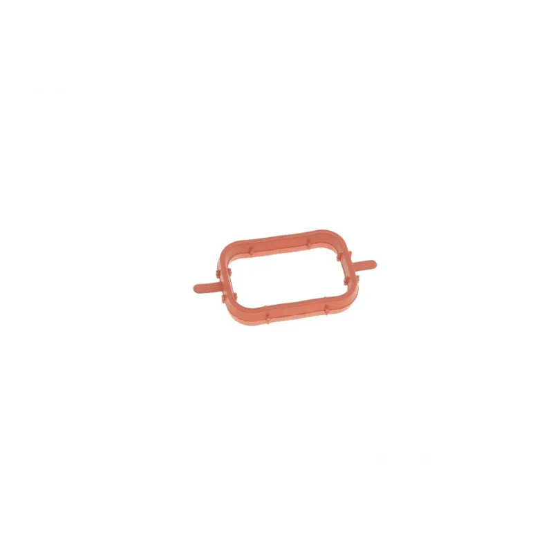 Прокладка колектора впускного BMW 3 (E46)/5 (E39/E60) 2.0/2.0 d 98-11/Opel Omega B 2.5 DTI 01-03