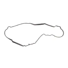 Прокладка кришки клапанів REINZ 71-35542-00 для Ford Fiesta 1.4 TDCi 2001-