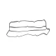 Прокладка кришки клапанів REINZ 71-38086-00 для Ford Focus 1.4/1.6 1998-2011, Fiesta 1.25/1.4/1.6 1995-2008