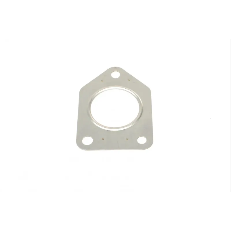 Прокладка турбіни REINZ 71-39444-00 для BMW 1 (E81/F20), 3 (E90/F31) 1.6D/2.0D N47