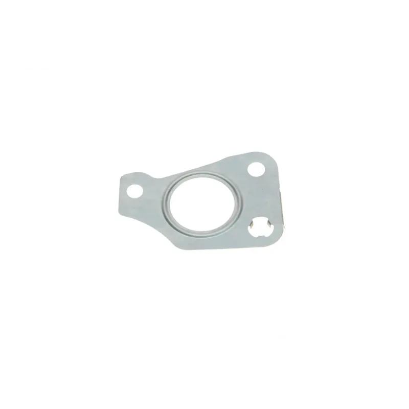 Прокладка турбіни Fiat Doblo 1.3D 07- (трубка на злив масла)