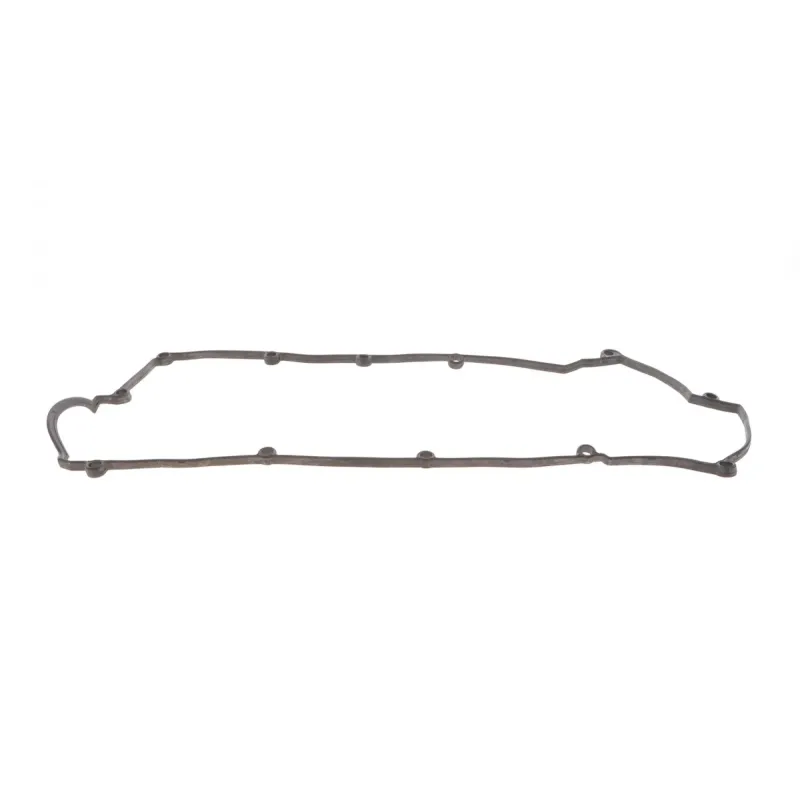 Прокладка кришки клапанів REINZ 71-53976-00 для Hyundai Tucson, Kia Sportage 2.0i 16V 2004-