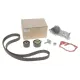Комплект ГРМ з помпою RENAULT 119A00397R для Renault Kangoo, Dacia Logan/Duster 1.4/1.6 16V 01-