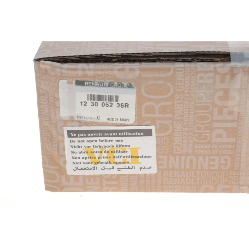 Демпфер зчеплення Renault Megane III/Scenic III 1.5 dCi 08-