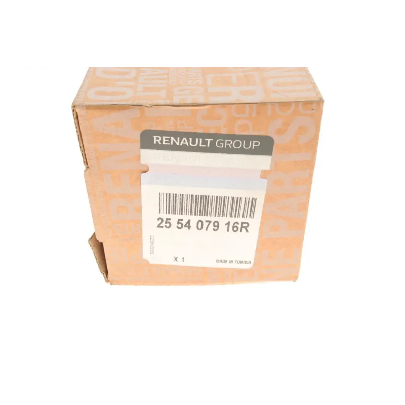 Перемикач підрульовий Renault Dokker/Duster/Logan 16- (L)