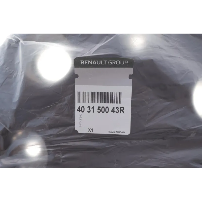 Ковпак диска колісного RENAULT 403150043R для Master III (2011-н.в.)