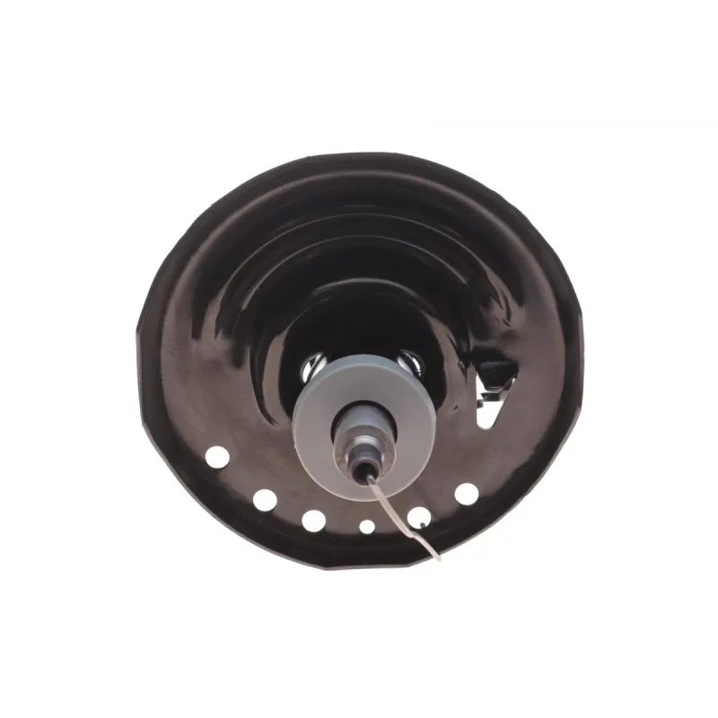 Амортизатор передній RENAULT 543020048R для Scenic III (JZ0/1_) 2009-, Grand Scenic III (JZ0/1_) 2009-