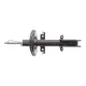 Амортизатор передній RENAULT 543029762R для Kangoo/Grand Kangoo (KW0/1_) 2008-, Mercedes-Benz Citan (415) 2012-