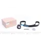 Комплект ГРМ Renault Kangoo 1.5dCi 01- (123x27)