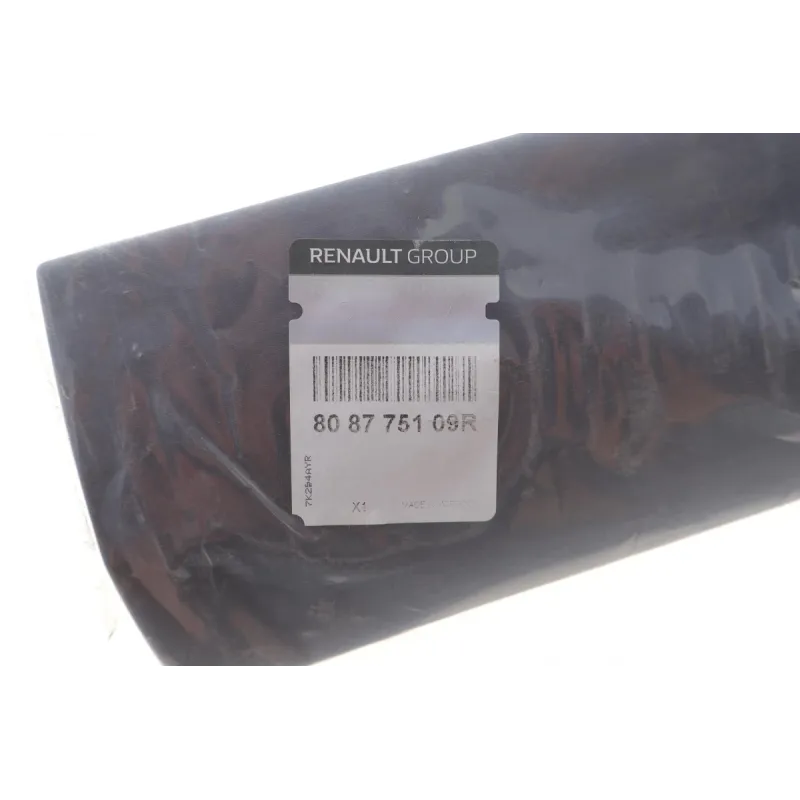 Молдинг дверей передній лівий RENAULT 808775109R для Renault Express 2021-