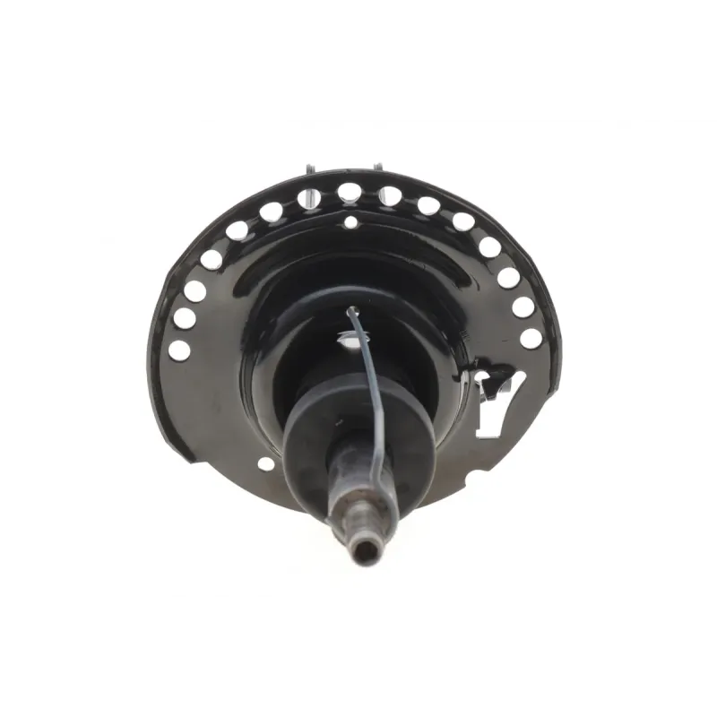 Амортизатор передній RENAULT Kangoo 8200868516 (maxi baza) (цапфа 36mm, d22mm D51mm)