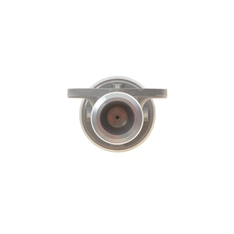 Клапан EGR ROTWEISS RW14007 для Mercedes-Benz Sprinter 312D 2.9TDI 1995-2000