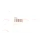 Ролик дверей нижній ROTWEISS RWS1013 для Ford Transit/Tourneo Connect 2002-