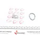 Прокладка впускного колектора ROTWEISS RWS1769 для Opel Vivaro, Renault Trafic 2.0 16V 2001-