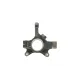 Кулак поворотний (цапфа) Renault Master 98-06 (d=22mm) (L)