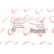 Кронштейн кріплення фари Renault Megane/Scenic 03-08 (L)