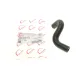 Патрубок радіатора Renault Kangoo 1.5 dCi 01- (теплообмінника)